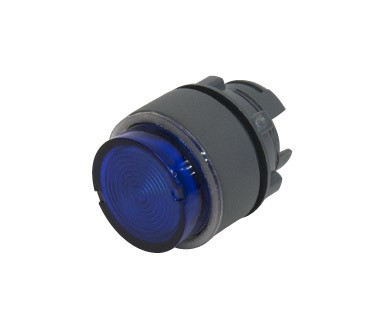 ILL PB PLAS FLUSH SPRG RET LED/NEON BLU